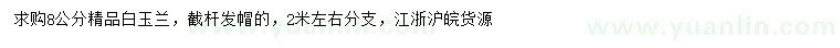 求購(gòu)8公分白玉蘭