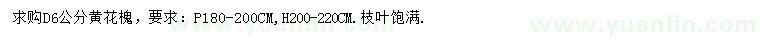 求購地徑6公分黃花槐