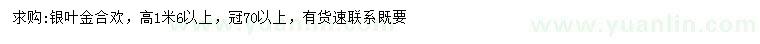 求購高1.6米以上銀葉金合歡