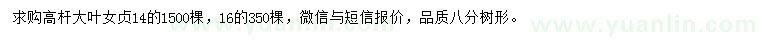 求購14、16公分高桿大葉女貞