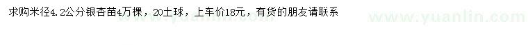 求購米徑4.2公分銀杏小苗