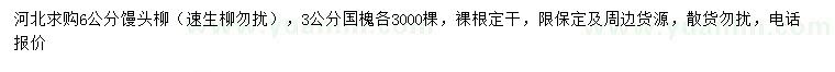 求購(gòu)6公分饅頭柳、3公分國(guó)槐