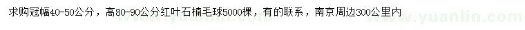 求購(gòu)冠幅40-50公分紅葉石楠毛球