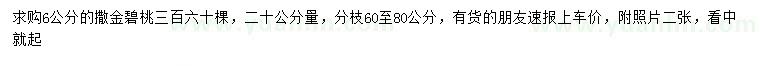 求購20公分量6公分撒金碧桃