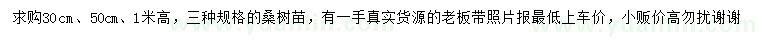 求購高30、50、100公分桑樹苗