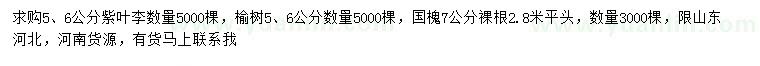求購紫葉李、榆樹、國槐