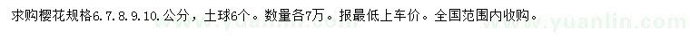 求購6、7、8、9、10公分櫻花
