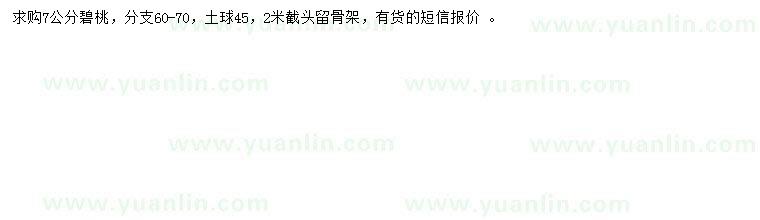 求購7公分碧桃