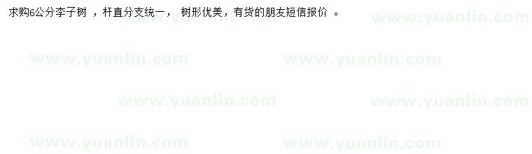 求購6公分李子樹