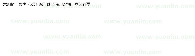 求購4公分綠葉碧桃