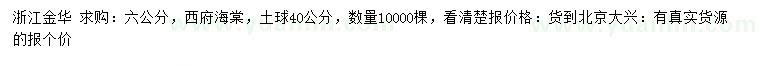 求購6公分西府海棠