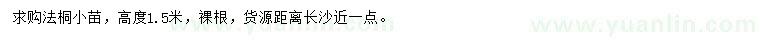 求購高度1.5米法桐小苗