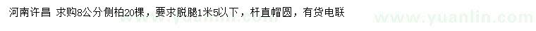求購8公分側(cè)柏
