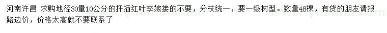 求購地徑30量10公分扦插紅葉李