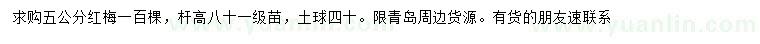 求購5公分紅梅