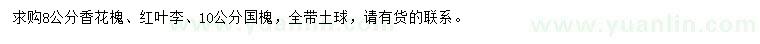 求購香花槐、紅葉李、國槐