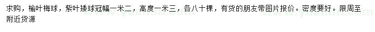 求購(gòu)冠幅1.2米榆葉梅球、紫葉矮球