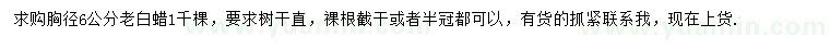 求購胸徑6公分老白蠟