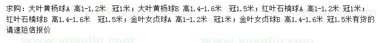 求購大葉黃楊球、紅葉石楠球、金葉女貞球