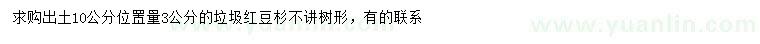 求購10公分量3公分垃圾紅豆杉