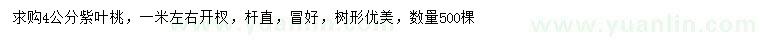求購4公分紫葉桃