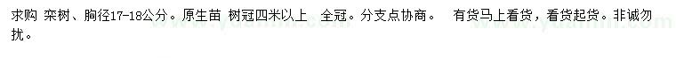 求購胸徑17-18公分欒樹