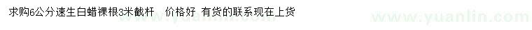 求購6公分速生白蠟