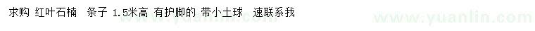 求購(gòu)高1.5米紅葉石楠