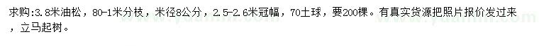 求購米徑8公分油松