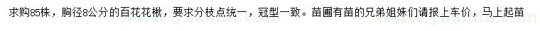 求購(gòu)胸徑8公分百花花楸
