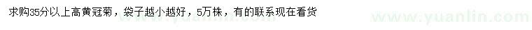 求購(gòu)高35分以上黃冠菊