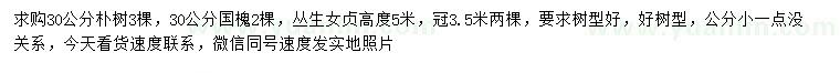 求購樸樹、國槐、叢生女貞