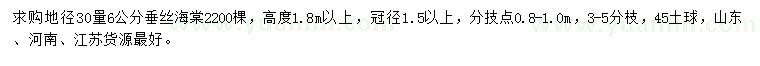 求購地徑30量6公分垂絲海棠