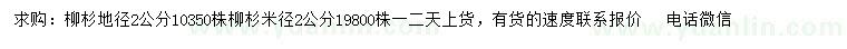 求購地徑、米徑2公分柳杉