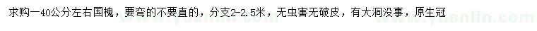 求購40公分左右國槐