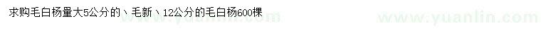 求購5、12公分毛白楊