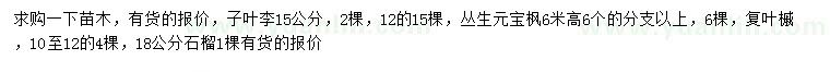 求購紫葉李、叢生元寶楓、復(fù)葉槭等