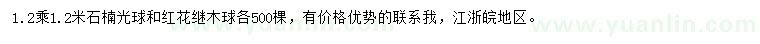 求購1.2x1.2米石楠球、紅花繼木球