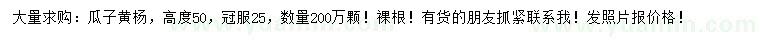求購高50公分瓜子黃楊