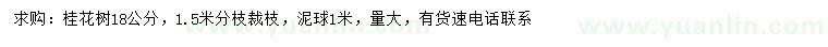 求購18公分桂花