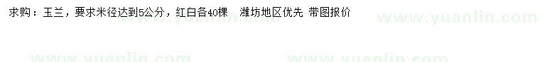求購米徑5公分玉蘭