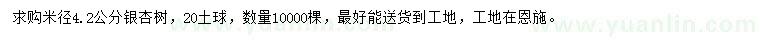 求購米徑4.2公分銀杏樹