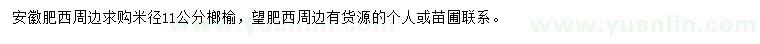 求購米徑11公分榔榆