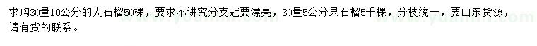 求購地徑10公分大石榴、30量5公分果石榴