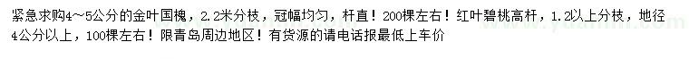 求購4-5公分金葉國槐、地徑4公分以上紅葉碧桃