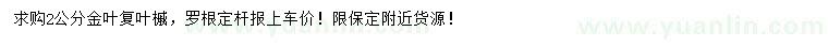 求購2公分金葉復葉槭
