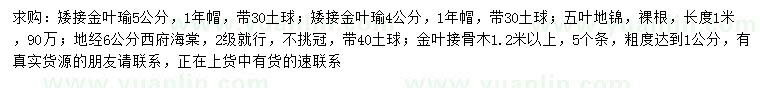 求購(gòu)矮接金葉榆、五葉地錦、西府海棠等