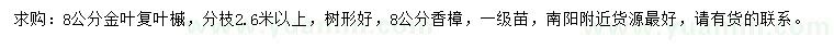 求購(gòu)8公分金葉復(fù)葉槭、香樟