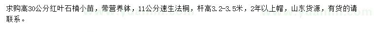 求購高30公分紅葉石楠小苗、11公分速生法桐