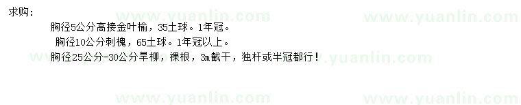 求購高接金葉榆、刺槐、旱柳